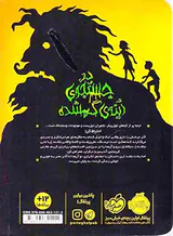 در جستجوی آینه ی گمشده